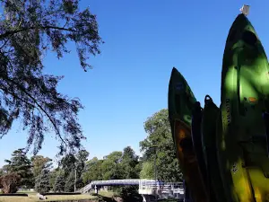 Club de Remo de Azul