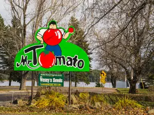 Mr Tomate