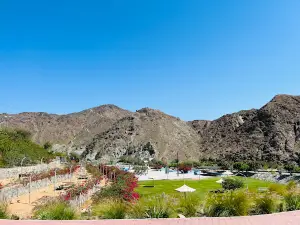 Shawkah Dam Park