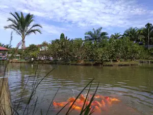 Wisata Kolam Renang Pulo Madura(madura island)