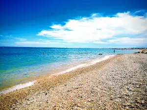 Dog Beach Spiaggia Libera