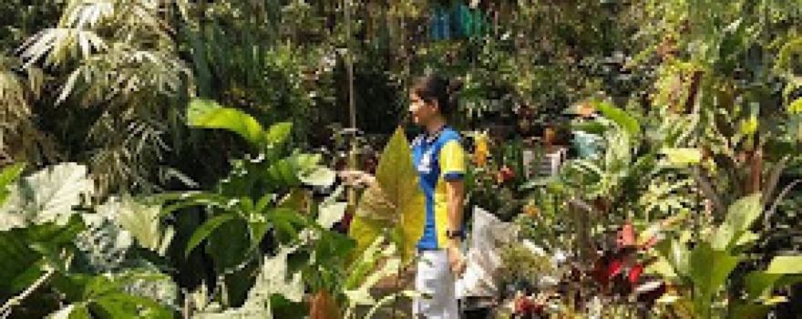 Pagsolingan Garden Center