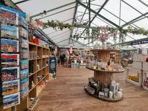 Pentland Plants