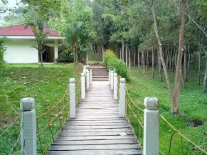 Tagum Eco Park