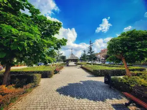 Rynek w Opatowie