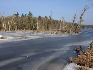 Forstamt Schildfeld