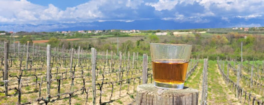 Dafilo Vineyard