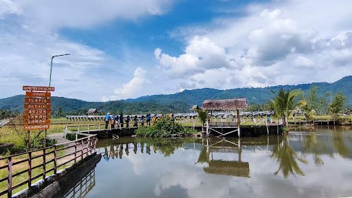 Wisata Embung Sawah Kampuja