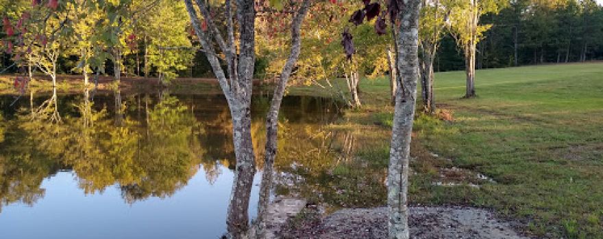 Little Tallapoosa Park