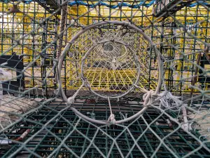 밸 꼬모