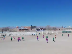 Puneña League Soccer
