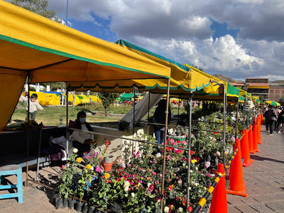 Tupac Amaru Square