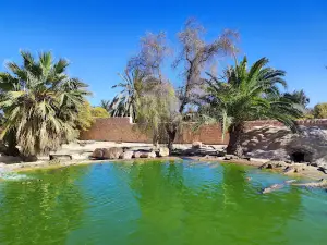 Djerba Crocodile Farm