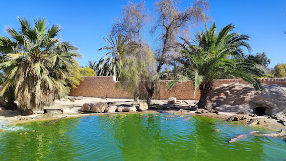 Djerba Crocodile Farm
