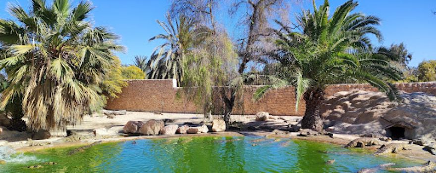 Djerba Crocodile Farm