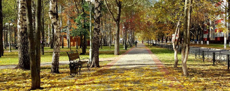Park Im. G. Tukaya