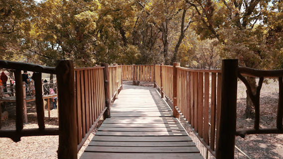 Maliran Deer Breeding