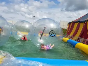 Steele County Free Fair