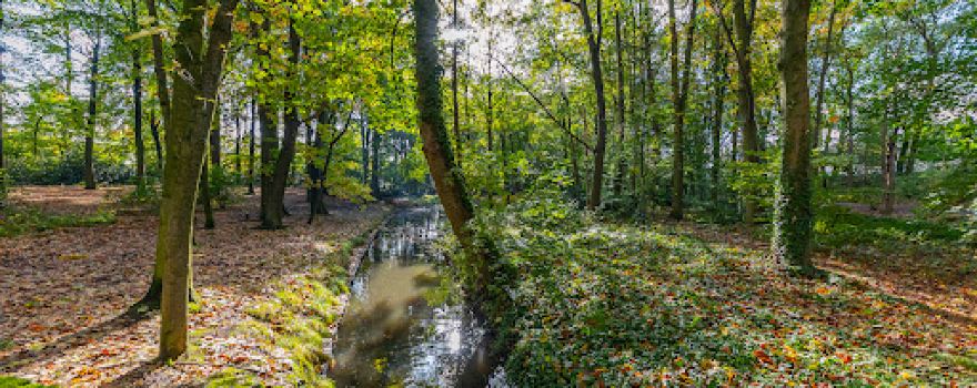 Gemeentepark Boom
