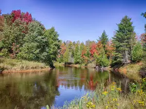 Mead Creek State Forest Campground