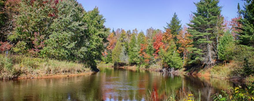 Mead Creek State Forest Campground