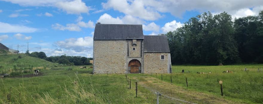 Donjon de Lizin