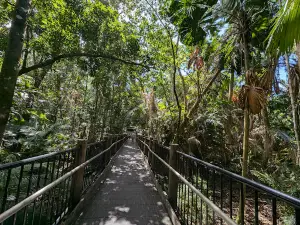 Madja Boardwalk