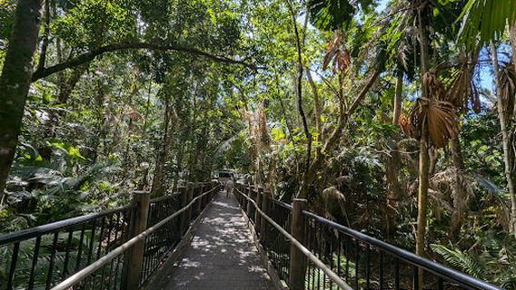 Madja Boardwalk