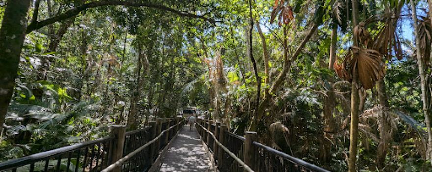 Madja Boardwalk