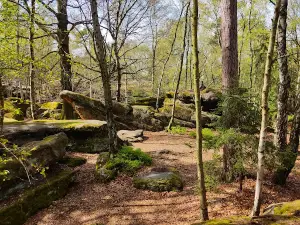 Felsenlabyrinth Langenhennersdorf