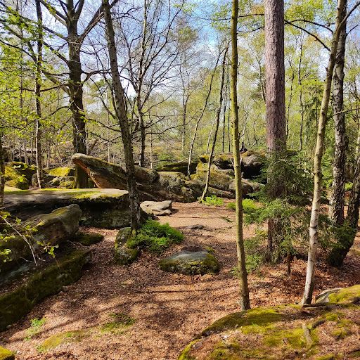 Felsenlabyrinth Langenhennersdorf