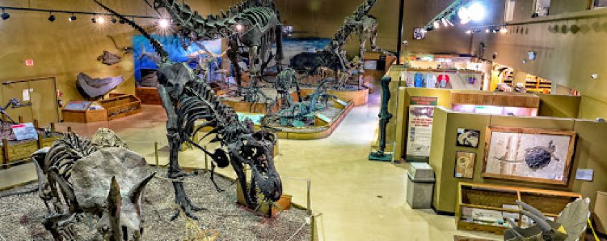 Wyoming Dinosaur Center