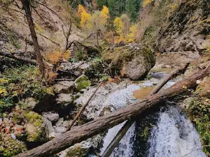 Devil's Path Ecotrail