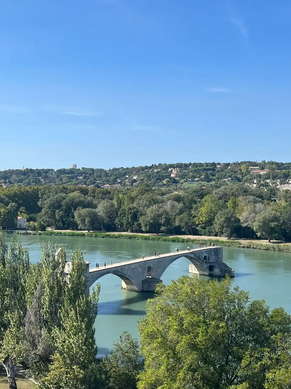 5_The Bridge of Avignon