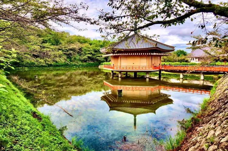 Hotels in Sakurai
