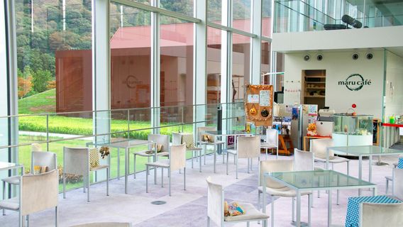 Shimane Prefecture Ancient Izumo History Museum