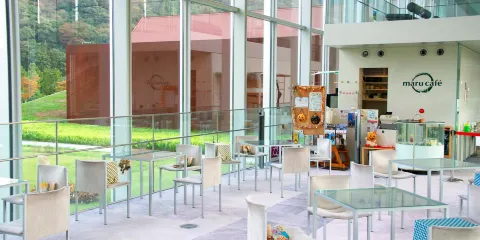 島根縣立古代出雲歴史博物館