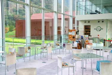 Shimane Museum of Ancient Izumo