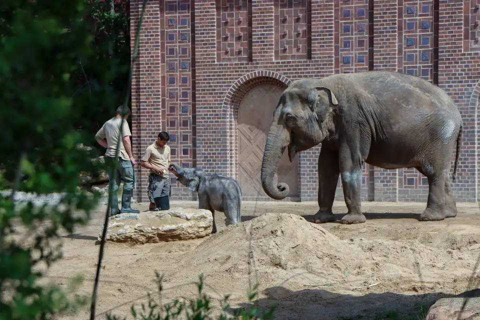 2_ライプチヒ動物園