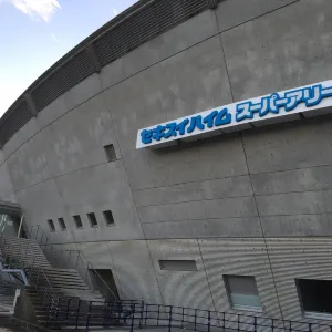 セキスイハイムスーパーアリーナ