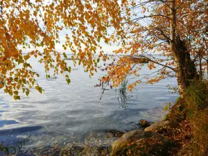 National Park Lake Pleshcheyevo