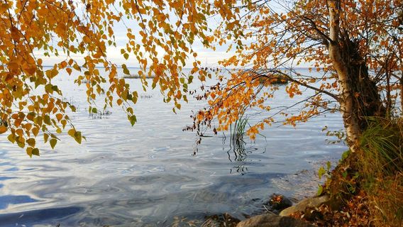 National Park Lake Pleshcheyevo