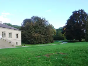 Zamek Cechy pod Kosirem