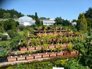 Botanical Garden UPJŠ