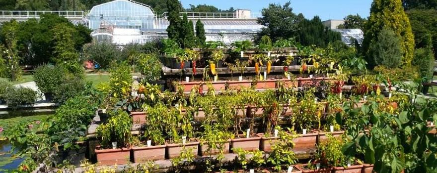 Botanical Garden UPJŠ