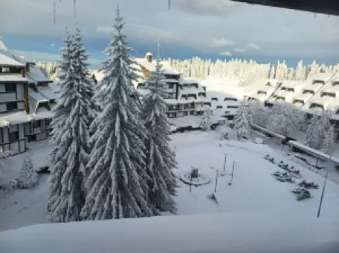 Kopaonik