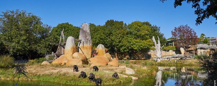 Zoo de la Palmyre