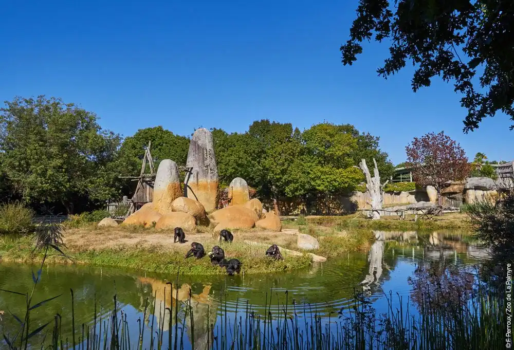 Hotels near Zoo La Palmyre
