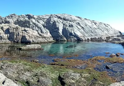 Papudo