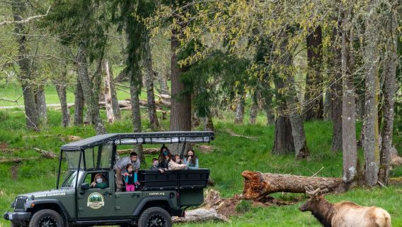 Northwest Trek Wildlife Park